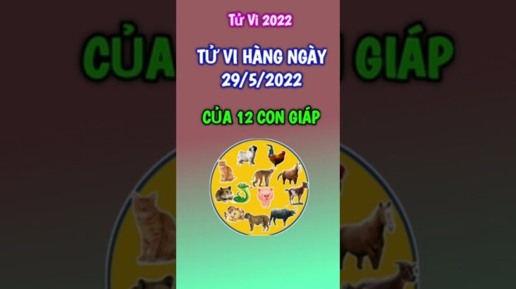 Tử Vi Hàng Ngày 29/5/2022 của 12 Con Giáp ‎‎‎‎#short #tuvihangngay #12congiap #shorts #videongan