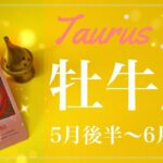 おうし座♉️2022年5月後半〜6月前半🌝最高の贈り物、またとない機会、孵化の瞬間