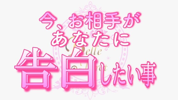 【恋愛💗感動🌟】お相手、告白します😳💖タロット🧚オラクルカードリーディング💗