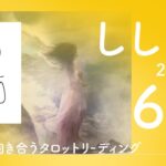 【しし座】2022年6月★自分と向き合う★タロットリーディング★【テキストのみ】【獅子座】