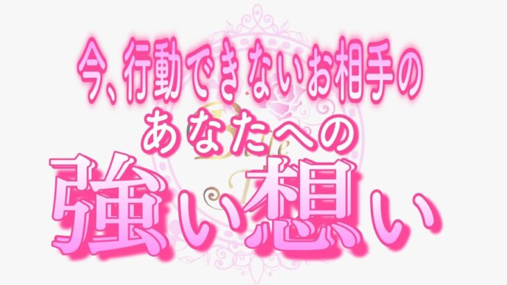 【恋愛❤️必死😢】どうか伝わって欲しい。今、行動できないお相手の強い想い💗タロット🧚オラクルカードリーディング