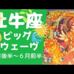 牡牛座♉️絶好調の波🌊変容のシンクロ再び⁉️大きく拡大✨成長する🌈【2022年5月後半～6月前半の運勢】　#おうし座　#生命の樹カウンセリング　#タロットオラクルルノルマン