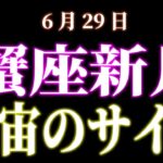 蟹座新月　6月29日　宇宙のサイン