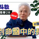 【上課精華】找到你命盤中的長處！該往什麼方向努力？事求在天，事成在人！紫微斗數命盤；完整版請至會員區觀賞－顯君他們的心經車隊【CC字幕】