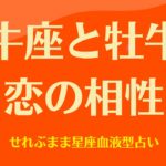 牡牛座と牡牛座の星座相性 せれぶまま星座血液型占い