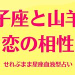 双子座と山羊座の星座相性 せれぶまま星座血液型占い