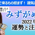 【占い】みずがめ座 ２０２２年後半の運勢と注意点！ よく笑い、大らかな母のように来るもの拒まず受け入れる姿勢がある限り100点！