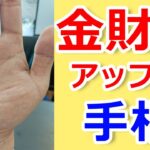 【手相占い】この手相があったら金運アップ間違いなし！【手相鑑定 vol.202】