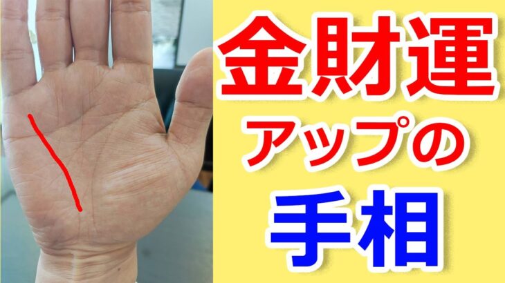 【手相占い】この手相があったら金運アップ間違いなし！【手相鑑定 vol.202】