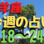 山羊座♑今週の占い🔮6/18〜24日までのカードリーディング⭐