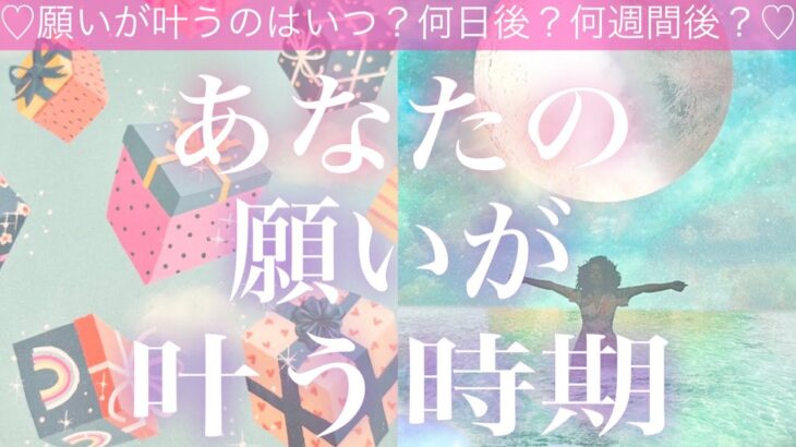 あなたの願いが叶うのはいつ？🎁🧸🌈✨💓何日後？何週間後？💓タロット占い💫オラクルカードリーディング🔮