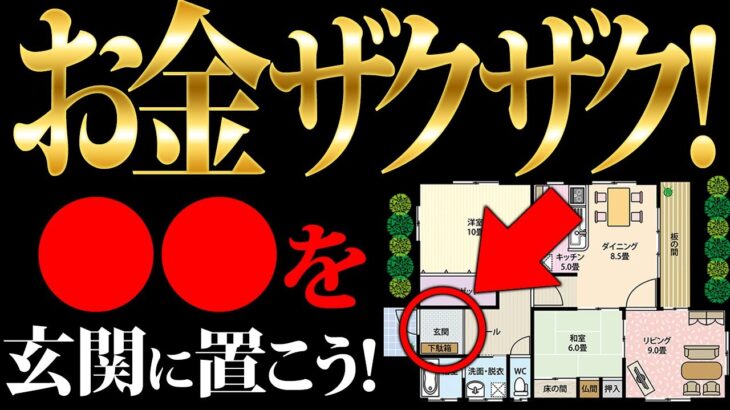 お金しか入らない！リビングに置くべき金運爆上げ植物京都の風水師　天野ちえりでございます