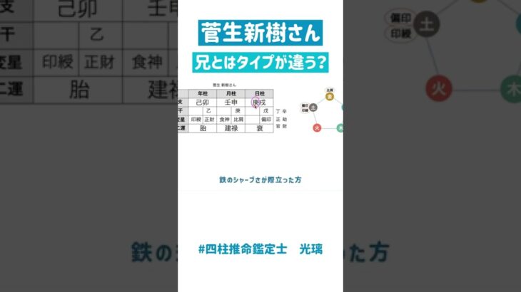 【四柱推命 光璃】菅田将暉さんの弟菅生新樹さんは兄のような俳優になる？