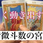 【タロット占い】大きく動き出すことを占いました！