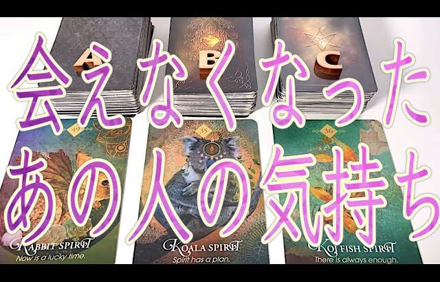 ⚠️【厳しめあります】会えなくなったあの人のあなたへの気持ち🥹