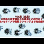 うお座（魚座）の性格や恋愛傾向や各星座との相性は？嫌いなタイプや相性ランキングまで完全紹介！