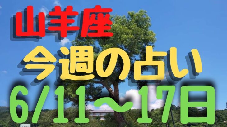 山羊座♑今週の占い🔮6/11〜17日までのカードリーディング⭐