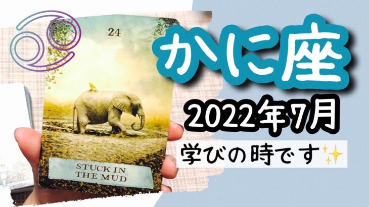 【かに座♋️2022年7月】🔮タロット占い🔮〜どんな事からも学びはあるものです✨〜