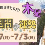 【風水、木星の一週間の運勢】三碧木星、四緑木星、2022年、6/27～7/3、最後に★特典★