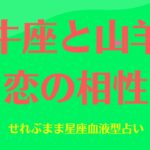 牡牛座と山羊座の星座相性 せれぶまま星座血液型占い