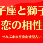 双子座と獅子座の星座相性 せれぶまま星座血液型占い