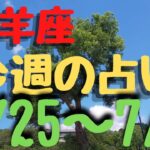 山羊座♑今週の占い🔮6/25〜7/1までカードリーディング🌻