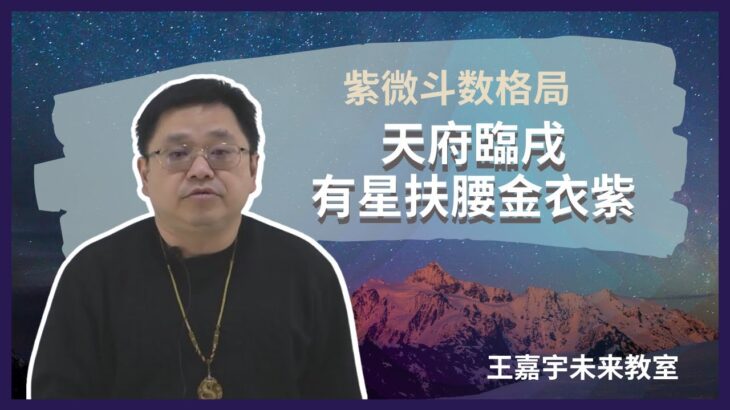 【紫微斗数格局#16】天府臨戌有星扶腰金衣紫 ｜王嘉宇未来教室