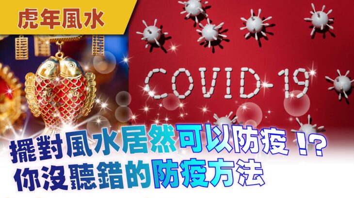 【虎年風水】擺對風水居然可以防疫？｜covid 19防疫開大絕｜施三昧老師