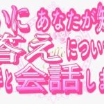 【恋愛❤️ついに👀】あなたが知る答えをお相手に聞いた😳[対話鑑定級タロットリーディング🧚]