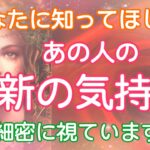 【はっきり辛口】今あなたに知ってほしい！あの人の最新のあなたへの気持ち【タロット占い・オラクルカードリーディング・霊感】