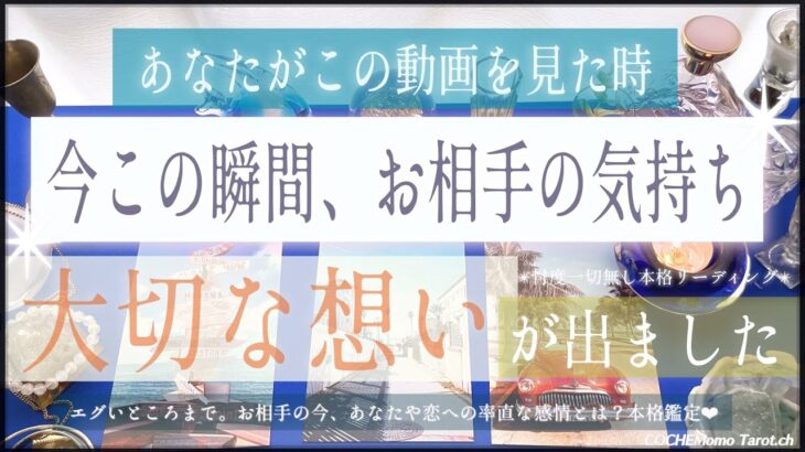 あなたが動画を見たこの瞬間✴︎お相手の気持ち🤍🐬【超重要✴︎覚悟】忖度一切なし、本格リーディング