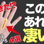 【手相占い】これあったら凄すぎっ!! YouTubeで話題の占い師が伝授する非常に珍しい最強の手相とは！？｜ゲスト：羽賀ヒカル