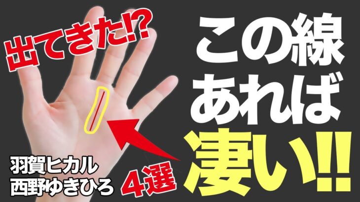 【手相占い】これあったら凄すぎっ!! YouTubeで話題の占い師が伝授する非常に珍しい最強の手相とは！？｜ゲスト：羽賀ヒカル