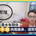 【一口氣看完透天宅風水】壁癌不除病魔纏身，梯下見廁又居中，家運整組壞了了！透天厝、自地自建風水總整理！Ft. @簡少年  ｜線上風水鑑定團第二季｜裝潢小學堂