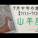 ♑山羊座♑7月中旬の運勢【7/11～7/20】成功に向けて突き進む。休息とのバランスを大切に。