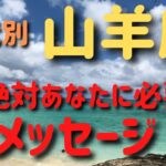 山羊座♑年代別⭐今絶対にあなたに必要なメッセージ✨