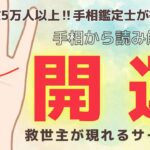 《有料級解説》救世主現る！？突如現れる開運線とは！【手相鑑定】～質問返し～