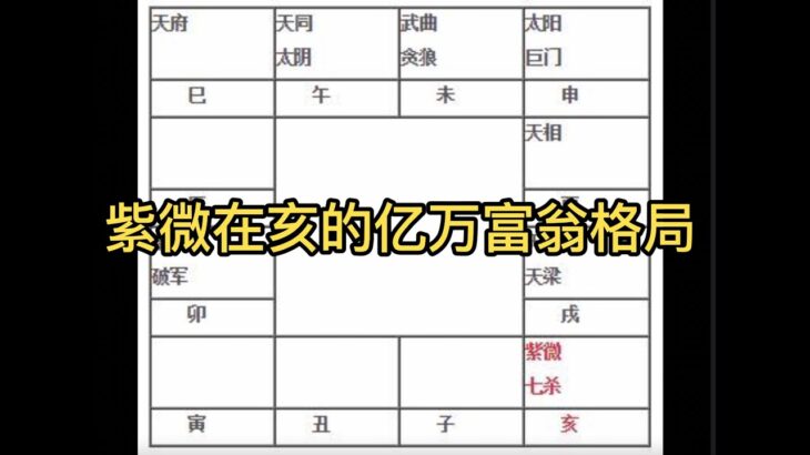 紫微斗数 案例分析 分享 紫微在亥的亿万富翁格局 财富 富裕 房产 地产 理财 财帛宫 福德宫