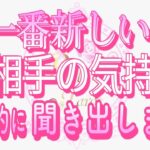 【恋愛❤️最新のお相手🌟】全てを聞き出しました😳 [対話鑑定級タロット🧚]