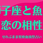 獅子座と魚座の星座相性 せれぶまま星座血液型占い