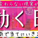 それ、動きます。全く変わらない現実がもうすぐ動き出します。衝撃の事実も発覚💥ルノルマンタロットオラクル #あんまろ掘り 徹底追求リーディング🌸🌰