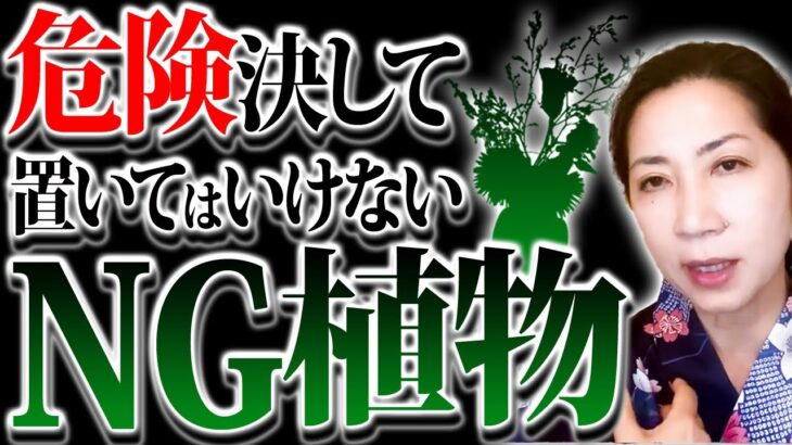 この言葉　神様が聞いてたら　即人生崩壊京都の風水師　天野ちえりでございます