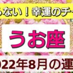 【魚座】止まらない！幸運のチャンス💖2022年8月の運勢🌟星とタロットリーディング