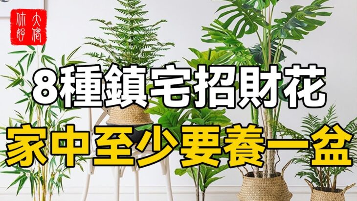 風水師提醒：8種招財鎮宅花，越養越富，家中一定要養一盆！#大佬你好啊