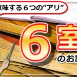 【インド占星術の６室のお話】６室が意味する６つの”アリ”