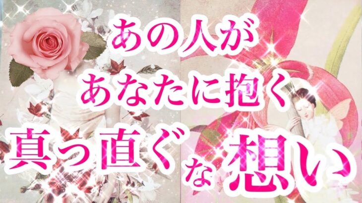 【一部お相手様に対して辛口あり🍛】タロット恋愛占い💐相手の気持ちをルノルマンオラクルでも深掘りカードリーディング✨個人鑑定級