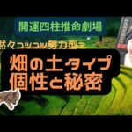 【四柱推命 基本の星 己】「畑の土タイプ」は黙々努力型?