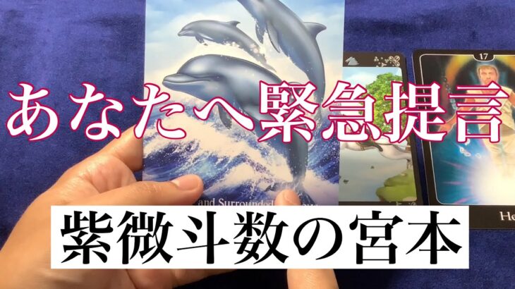 【タロット占い】今のあなたへの緊急提言を占いました！