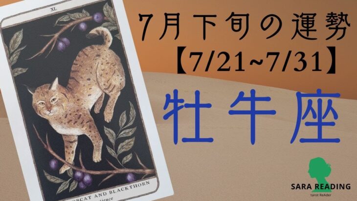 ♉牡牛座♉7月下旬の運勢【7/21~7/31】宇宙の展開に身をまかせる。流れを止めているものに気付く。