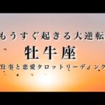 牡牛座♉️大逆転します🌟才能が開花する。好転の大チャンス。あなたは何も失っていません。運命は動きだしたばかりです。🌟しあわせになる力を引きだすタロットセラピー